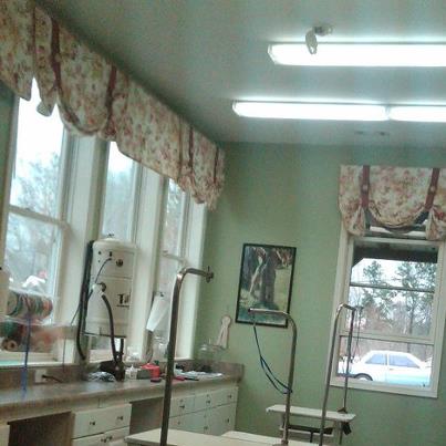Grooming Area