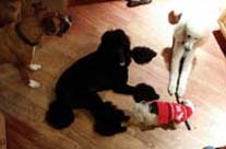 Large to Small